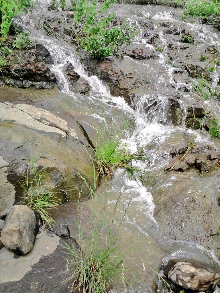 जलयुक्त शिवार