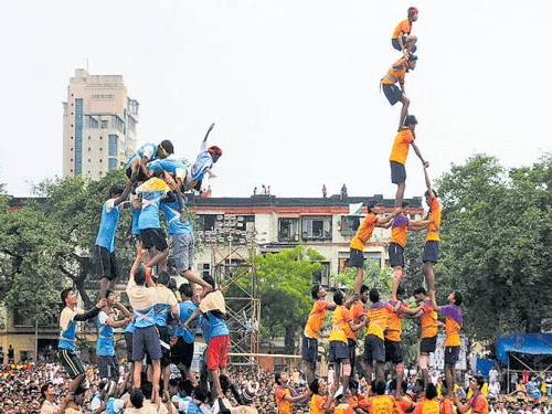 dahihandi sport